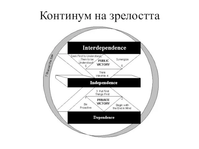 Континум на зрелостта