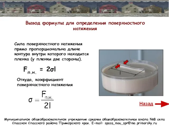 Муниципальное общеобразовательное учреждение средняя общеобразовательная школа №8 села Спасское Спасского района