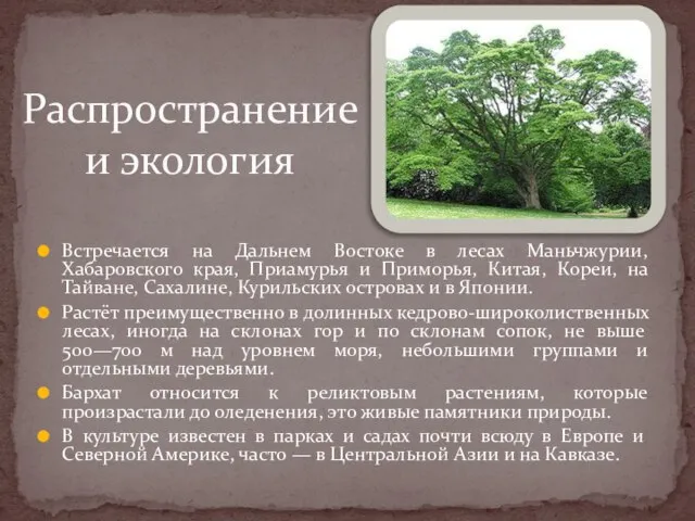 Встречается на Дальнем Востоке в лесах Маньчжурии, Хабаровского края, Приамурья и
