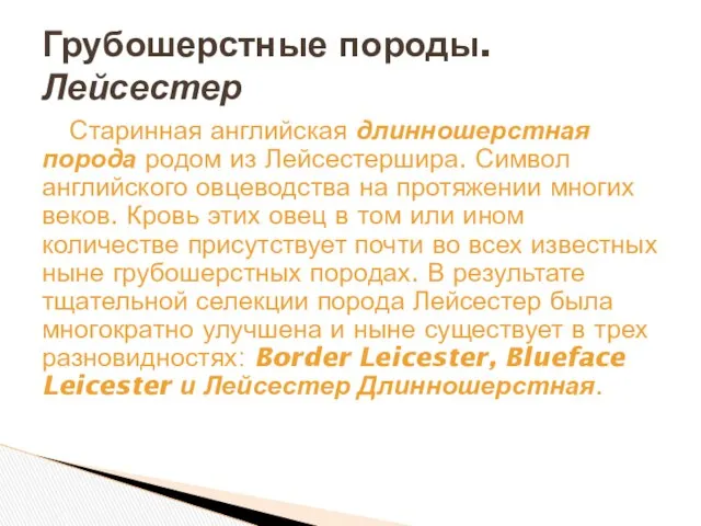 Старинная английская длинношерстная порода родом из Лейсестершира. Символ английского овцеводства на