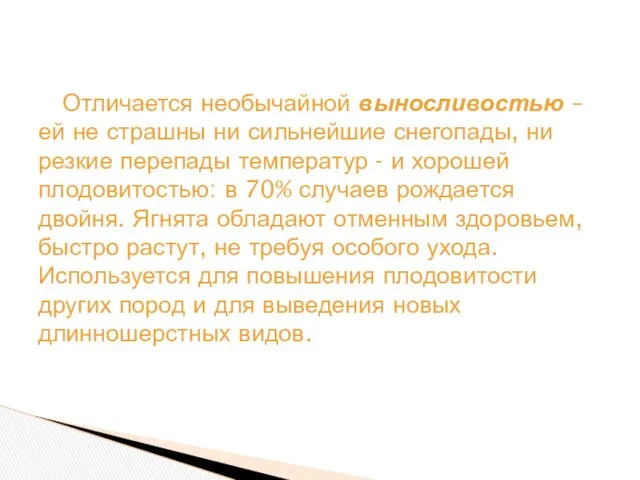 Отличается необычайной выносливостью – ей не страшны ни сильнейшие снегопады, ни