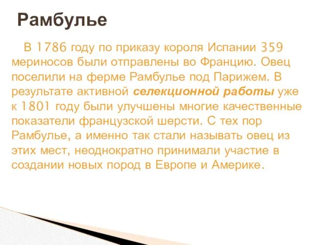 В 1786 году по приказу короля Испании 359 мериносов были отправлены