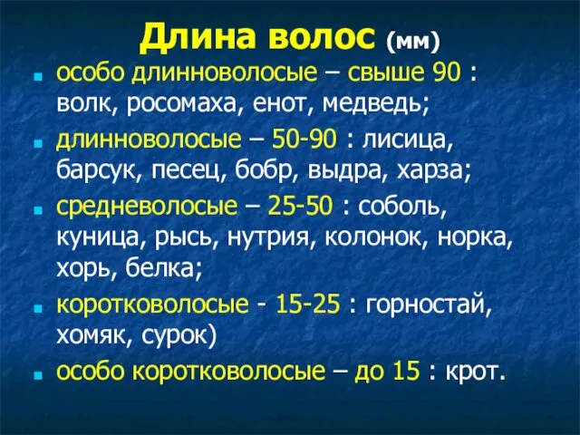 Длина волос (мм) особо длинноволосые – свыше 90 : волк, росомаха,