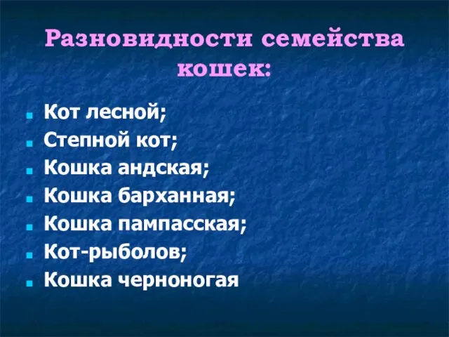 Разновидности семейства кошек: Кот лесной; Степной кот; Кошка андская; Кошка барханная; Кошка пампасская; Кот-рыболов; Кошка черноногая