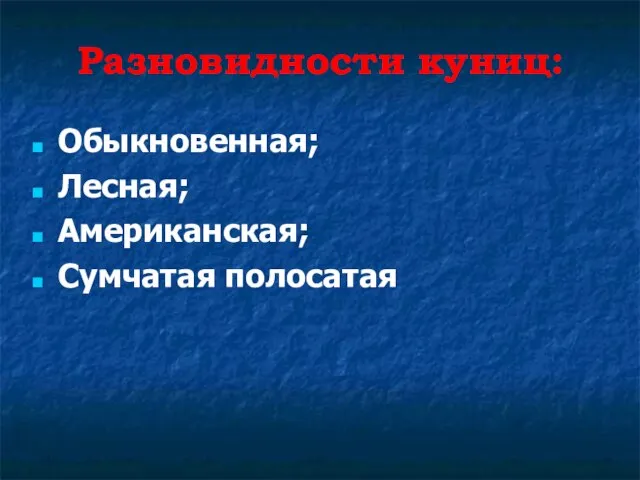 Разновидности куниц: Обыкновенная; Лесная; Американская; Сумчатая полосатая