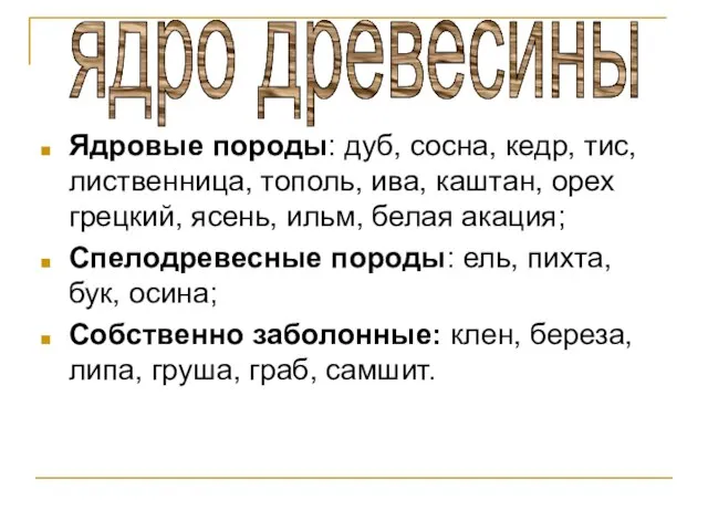 Ядровые породы: дуб, сосна, кедр, тис, лиственница, тополь, ива, каштан, орех