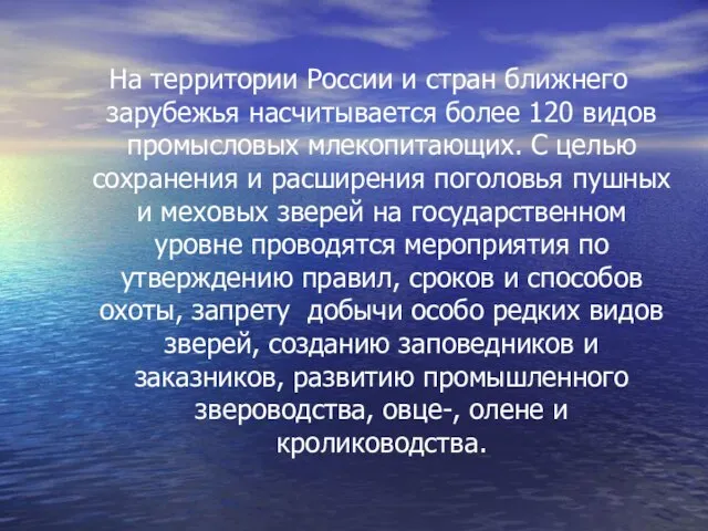 На территории России и стран ближнего зарубежья насчитывается более 120 видов