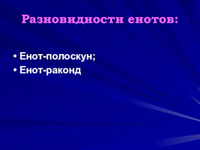 Разновидности енотов: Енот-полоскун; Енот-раконд