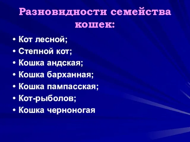 Разновидности семейства кошек: Кот лесной; Степной кот; Кошка андская; Кошка барханная; Кошка пампасская; Кот-рыболов; Кошка черноногая