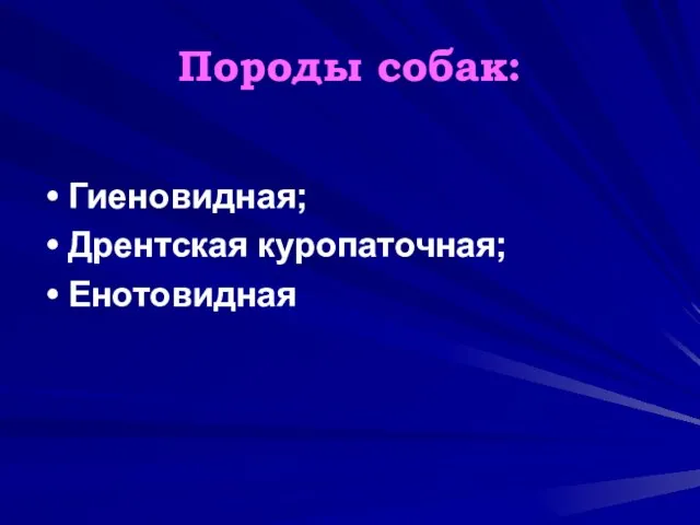 Породы собак: Гиеновидная; Дрентская куропаточная; Енотовидная