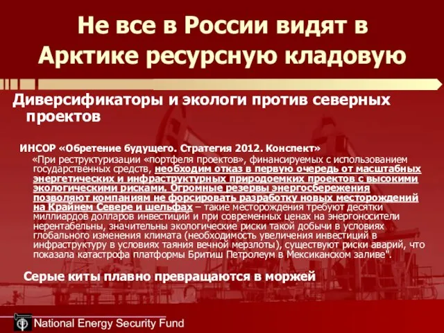 National Energy Security Fund Не все в России видят в Арктике