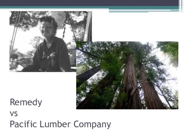 Remedy vs Pacific Lumber Company
