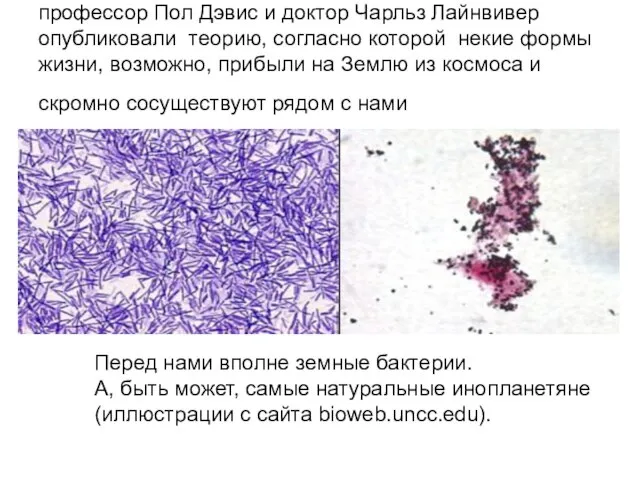 профессор Пол Дэвис и доктор Чарльз Лайнвивер опубликовали теорию, согласно которой