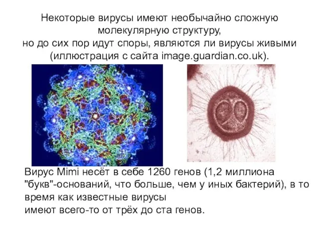 Некоторые вирусы имеют необычайно сложную молекулярную структуру, но до сих пор