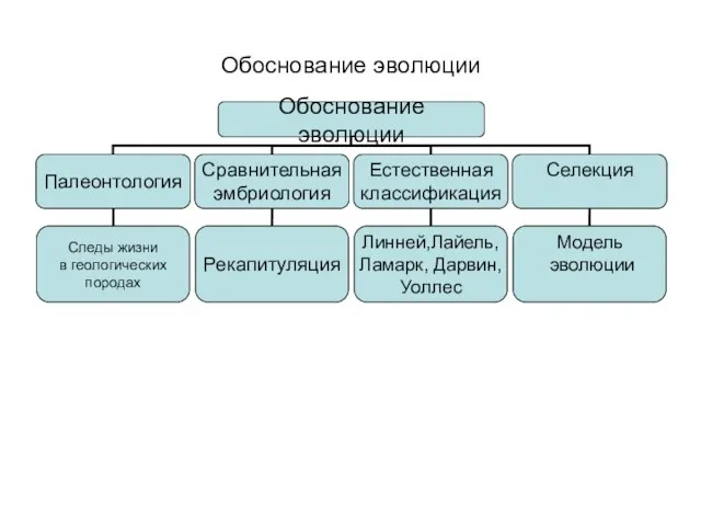 Обоснование эволюции