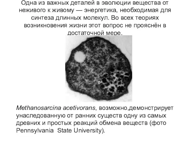 Одна из важных деталей в эволюции вещества от неживого к живому
