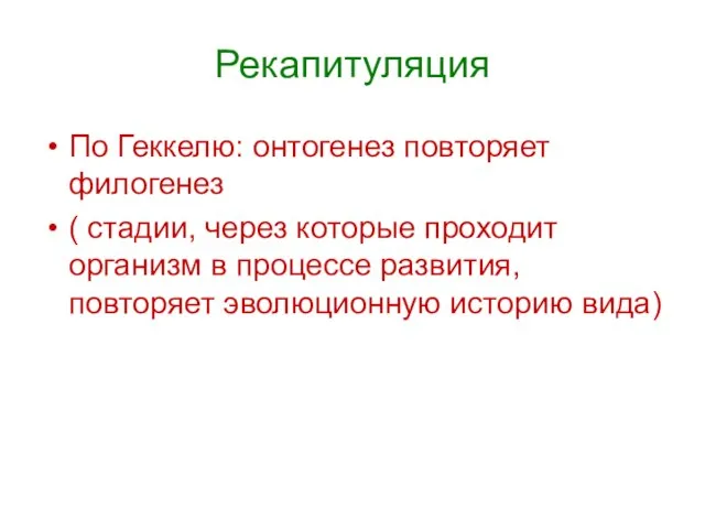 Рекапитуляция По Геккелю: онтогенез повторяет филогенез ( стадии, через которые проходит