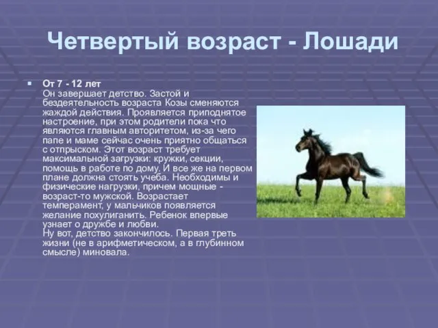 Четвертый возраст - Лошади От 7 - 12 лет Он завершает