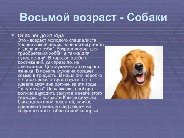 Восьмой возраст - Собаки От 24 лет до 31 года Это