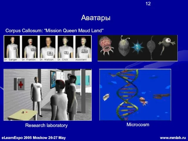 Аватары Research laboratory Microcosm Corpus Callosum: “Mission Queen Maud Land“