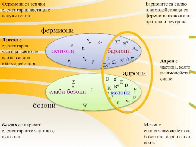 фермиони бозони адрони лептони бариони слаби бозони мезони μ- π- π+