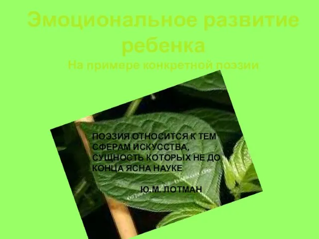 Эмоциональное развитие ребенка На примере конкретной поэзии ПОЭЗИЯ ОТНОСИТСЯ К ТЕМ