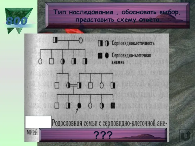 800 Тип наследования , обосновать выбор, представить схему ответа. ???