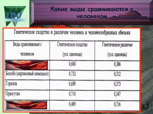 100 Какие виды сравниваются с человеком