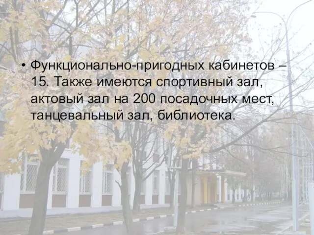 Функционально-пригодных кабинетов – 15. Также имеются спортивный зал, актовый зал на