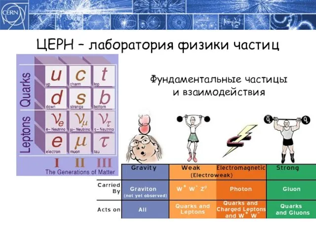 ЦЕРН – лаборатория физики частиц Фундаментальные частицы и взаимодействия