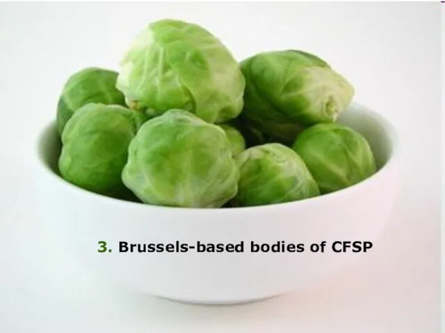 3. Brussels-based bodies of CFSP