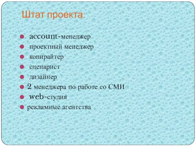 Штат проекта: account-менеджер проектный менеджер копирайтер сценарист дизайнер 2 менеджера по