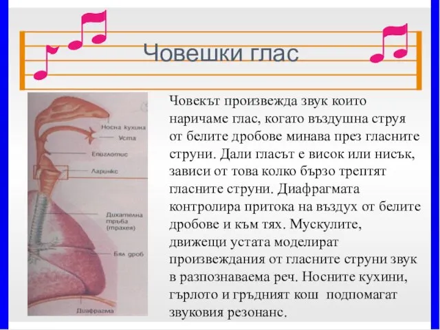 Човешки глас * Човекът произвежда звук които наричаме глас, когато въздушна