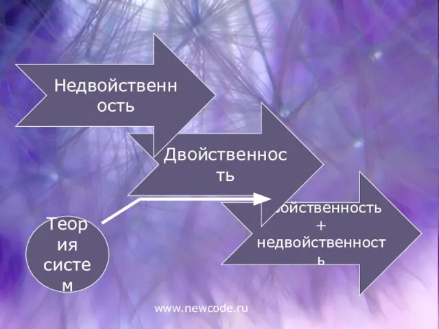 www.newcode.ru Двойственность + недвойственность Двойственность Недвойственность Теория систем