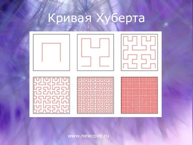 www.newcode.ru Кривая Хуберта