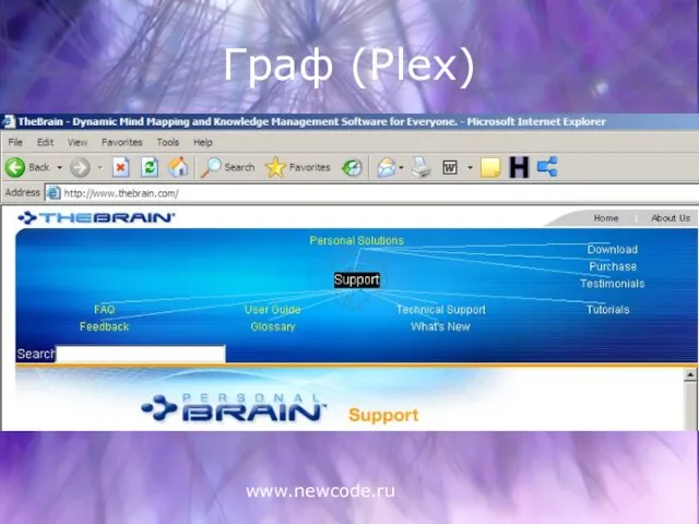 www.newcode.ru Граф (Plex)