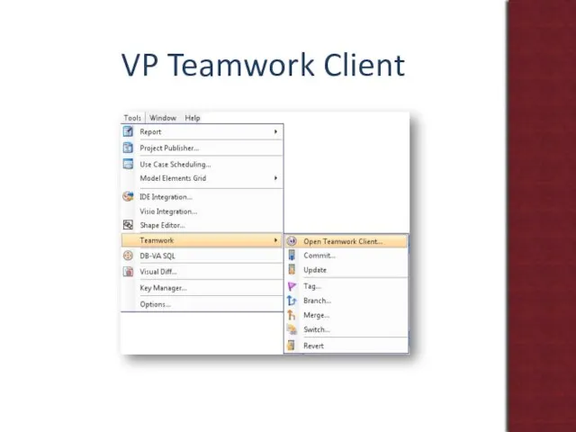 VP Teamwork Client