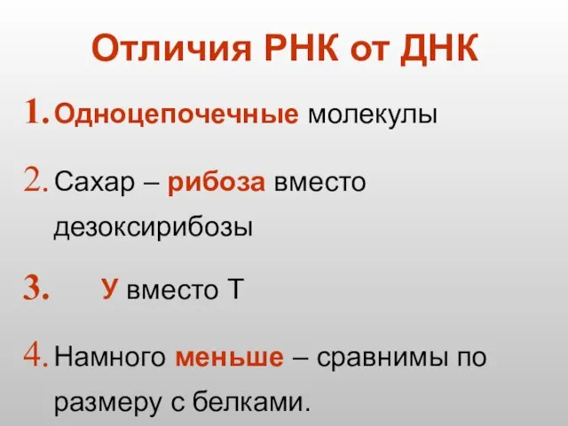 Отличия РНК от ДНК Одноцепочечные молекулы Сахар – рибоза вместо дезоксирибозы