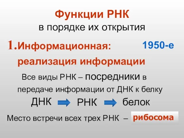 Функции РНК в порядке их открытия Информационная: реализация информации Все виды