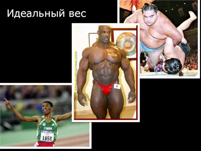 © ScrumTrek.ru, 2009 Идеальный вес