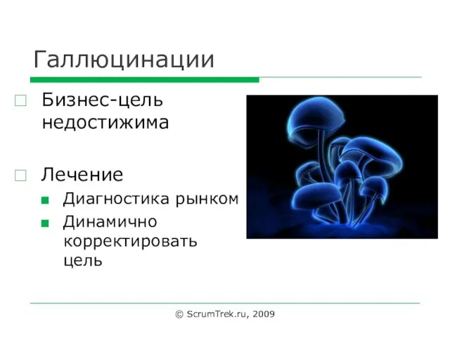 Галлюцинации Бизнес-цель недостижима Лечение Диагностика рынком Динамично корректировать цель © ScrumTrek.ru, 2009