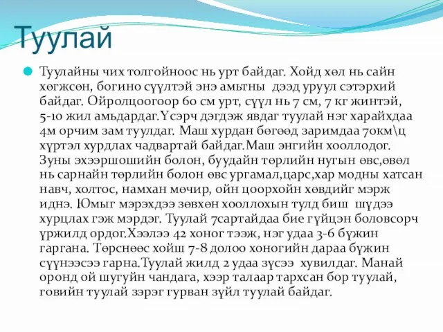 Туулайны чих толгойноос нь урт байдаг. Хойд хөл нь сайн хөгжсөн,