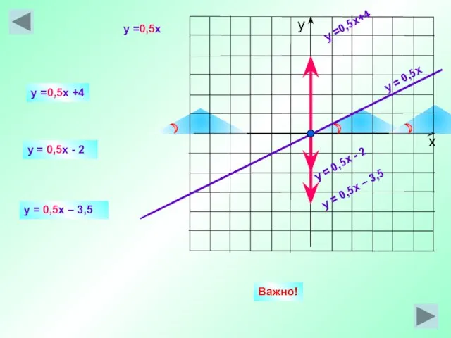 y = 0,5x y =0,5x+4 y = 0,5x - 2 y