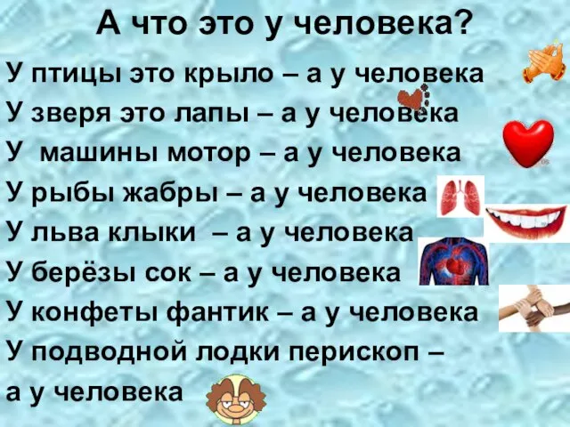 А что это у человека? У птицы это крыло – а