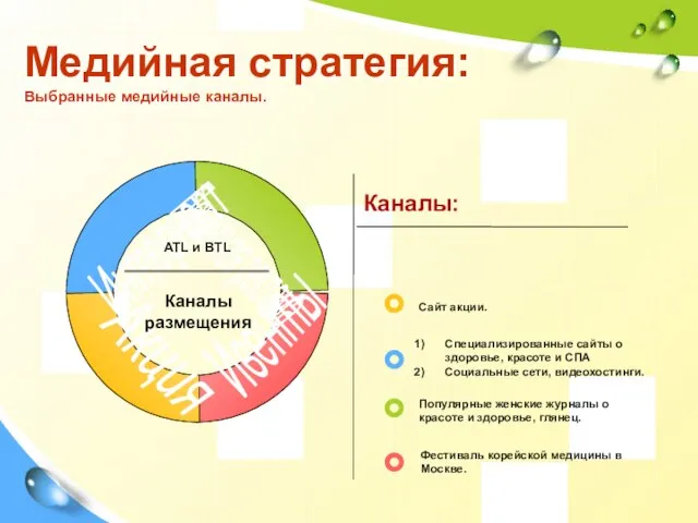 Медийная стратегия: Выбранные медийные каналы. Каналы: Интернет Печатная реклама Акция Ивенты