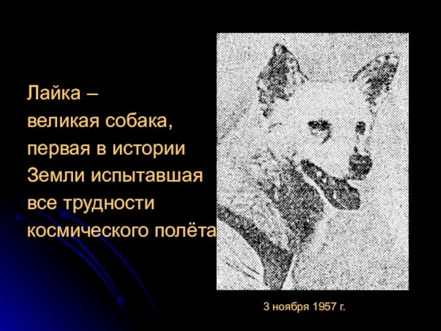 Лайка – великая собака, первая в истории Земли испытавшая все трудности