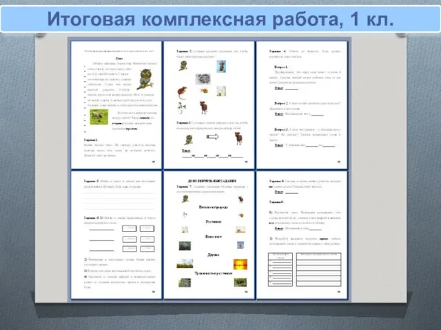 Итоговая комплексная работа, 1 кл.