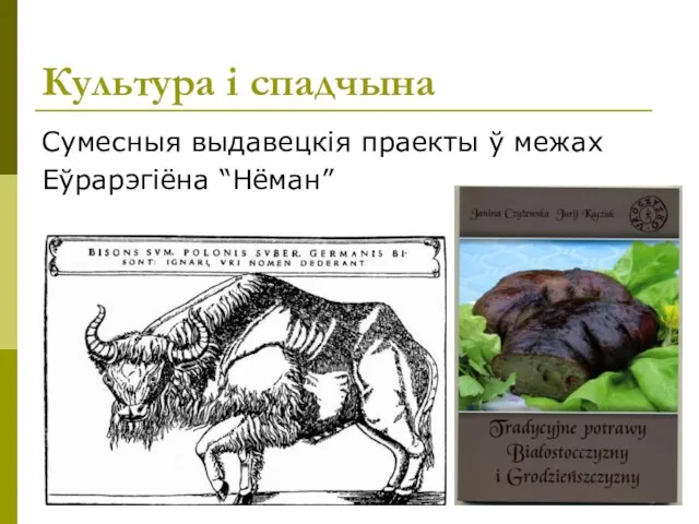 Культура і спадчына Сумесныя выдавецкія праекты ў межах Еўрарэгіёна “Нёман”