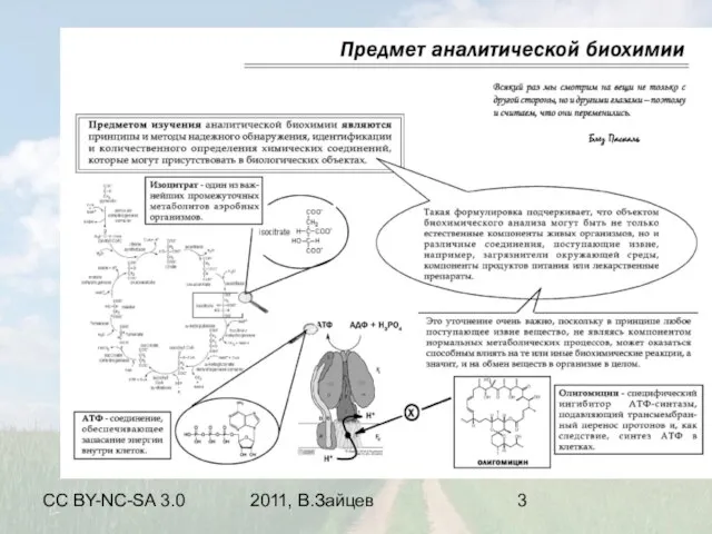 CC BY-NC-SA 3.0 2011, В.Зайцев