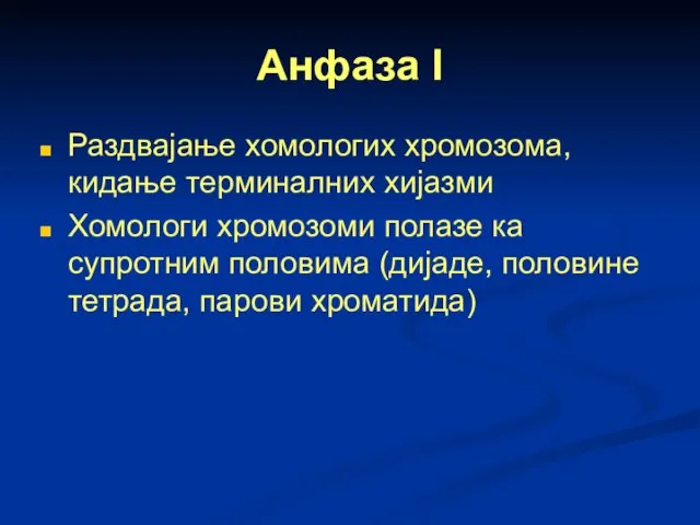 Анфаза I Раздвајање хомологих хромозома, кидање терминалних хијазми Хомологи хромозоми полазе